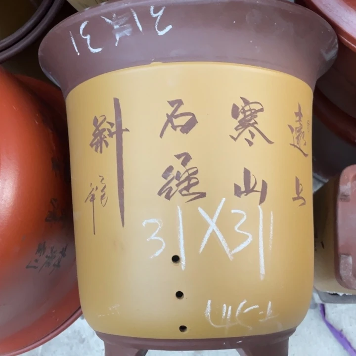 周深周深周深周深