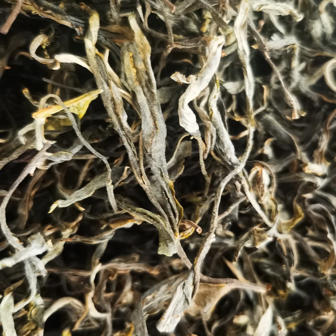 【村长严选1】2025杨梅地《秋》茶云南普洱茶 散茶