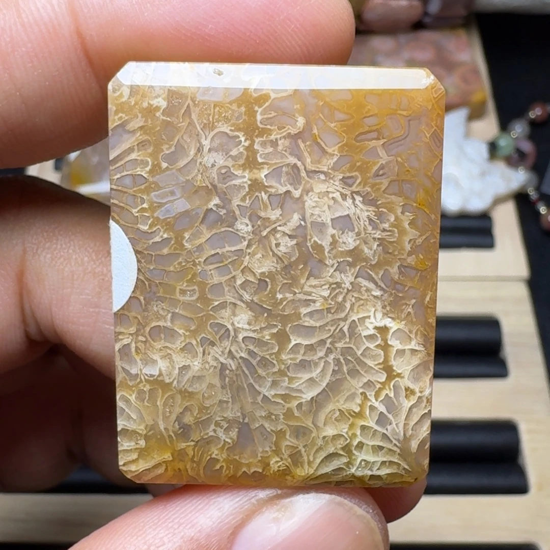 未镶嵌纯天然色有机玉石保真色硅化玉