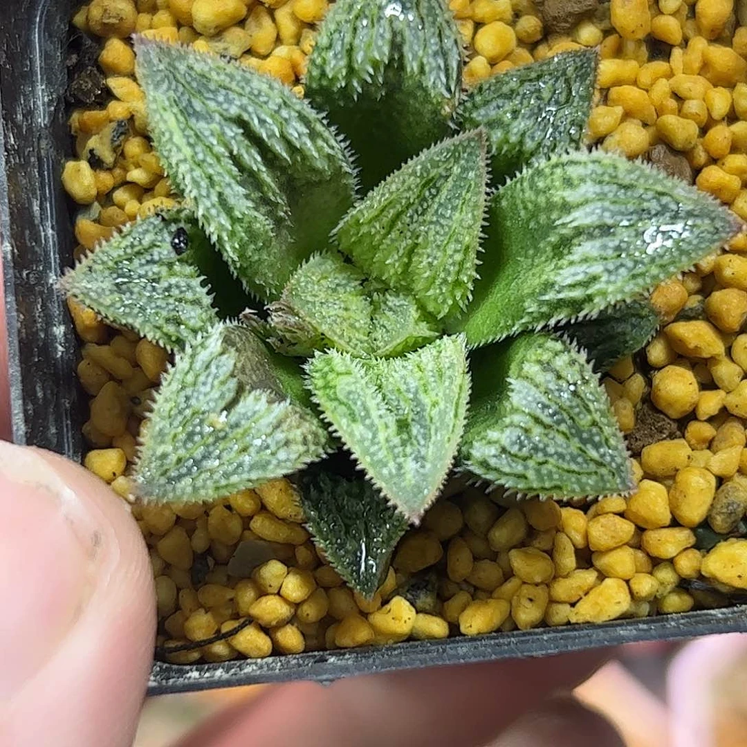 J***o红红火火恍恍惚惚