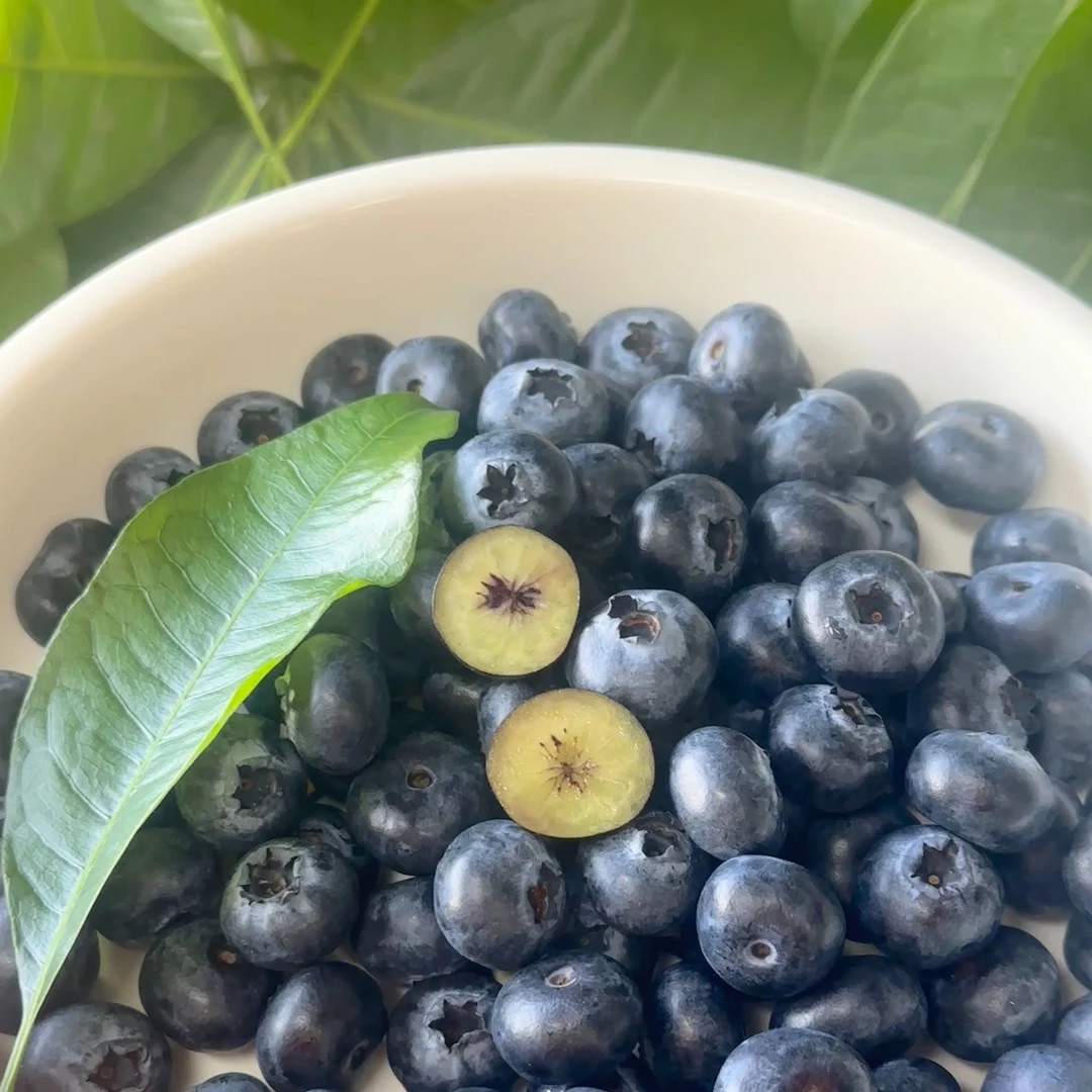 【农匠专属】云南高山花香蓝莓l25蓝莓新鲜脆甜多汁应季水果