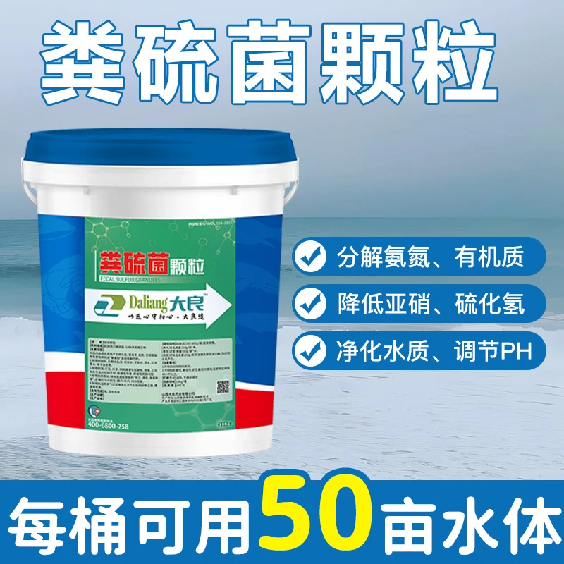 粪硫菌颗粒水产养殖底改王净水除臭打黑泥虾蟹专用除硫化氢
