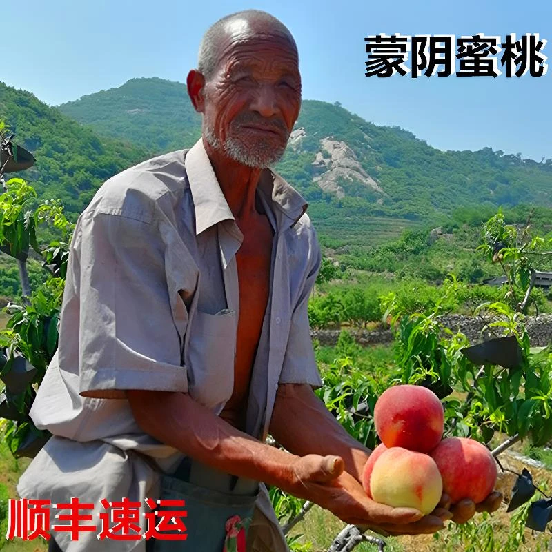 山东蒙阴水蜜桃新鲜水果桃子现摘甜桃当季应季水果冬桃现摘红桃子