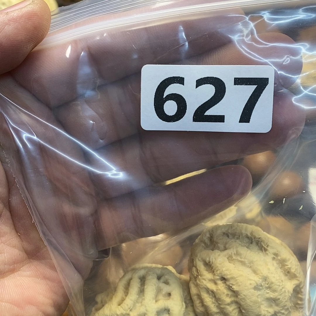 橄榄核吊坠2***6文化交流