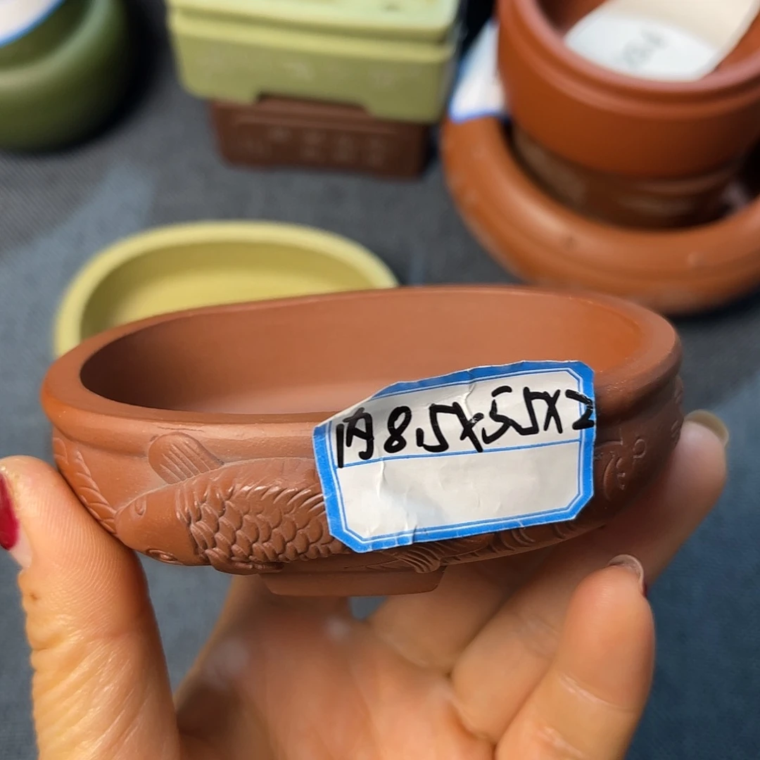 精选紫砂年年有余椭圆盆