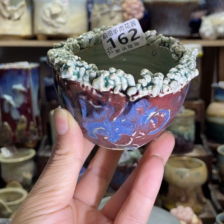 狼盆内口径7高度6