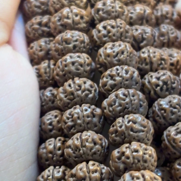 质****吊坠金刚菩提梅花8号