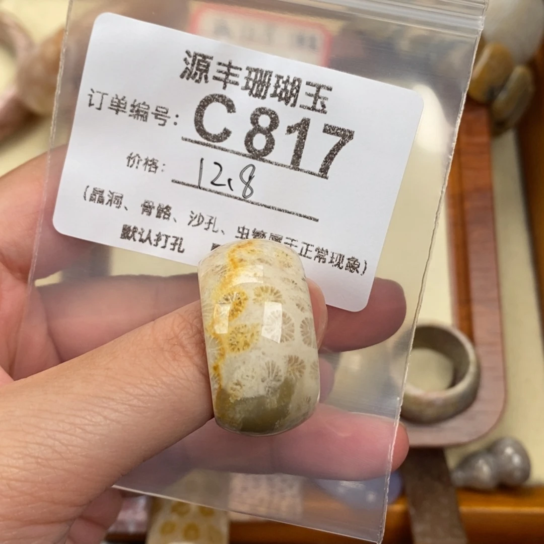 硅化玉颈饰未镶嵌小****?