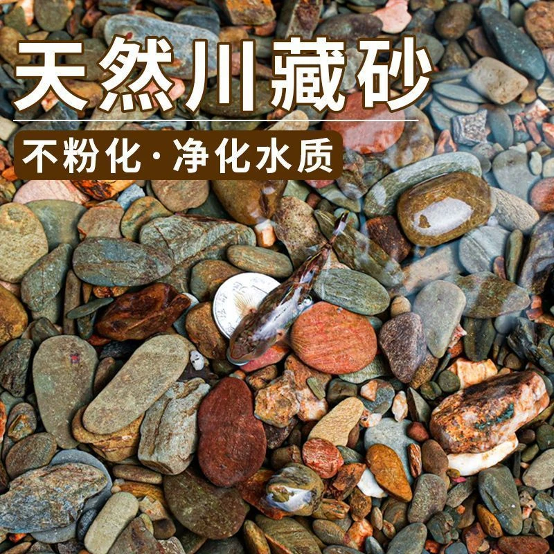 原生川藏砂鱼缸底砂造景装饰乌龟水草南美缸水晶雨林大矶化妆沙子