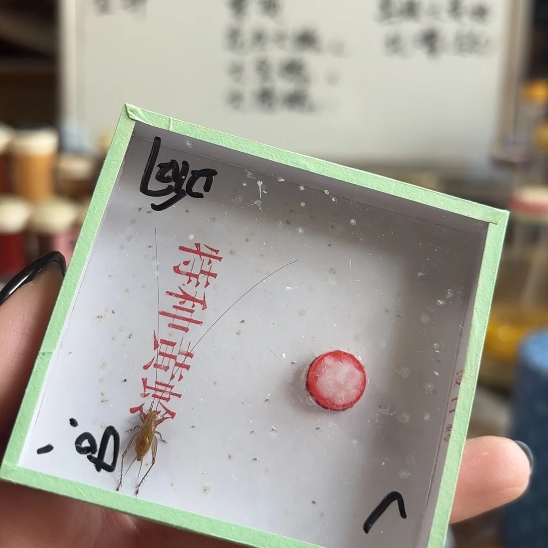 大黄不包断须尾啊啊