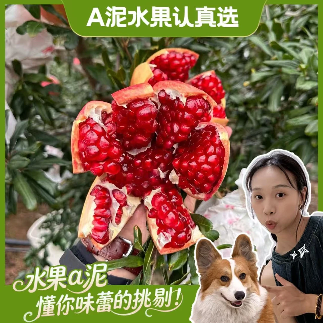 【次日达】四川突尼斯软籽石榴 甜嫩多汁大果7斤装【坏果包赔+顺丰包邮】四川省