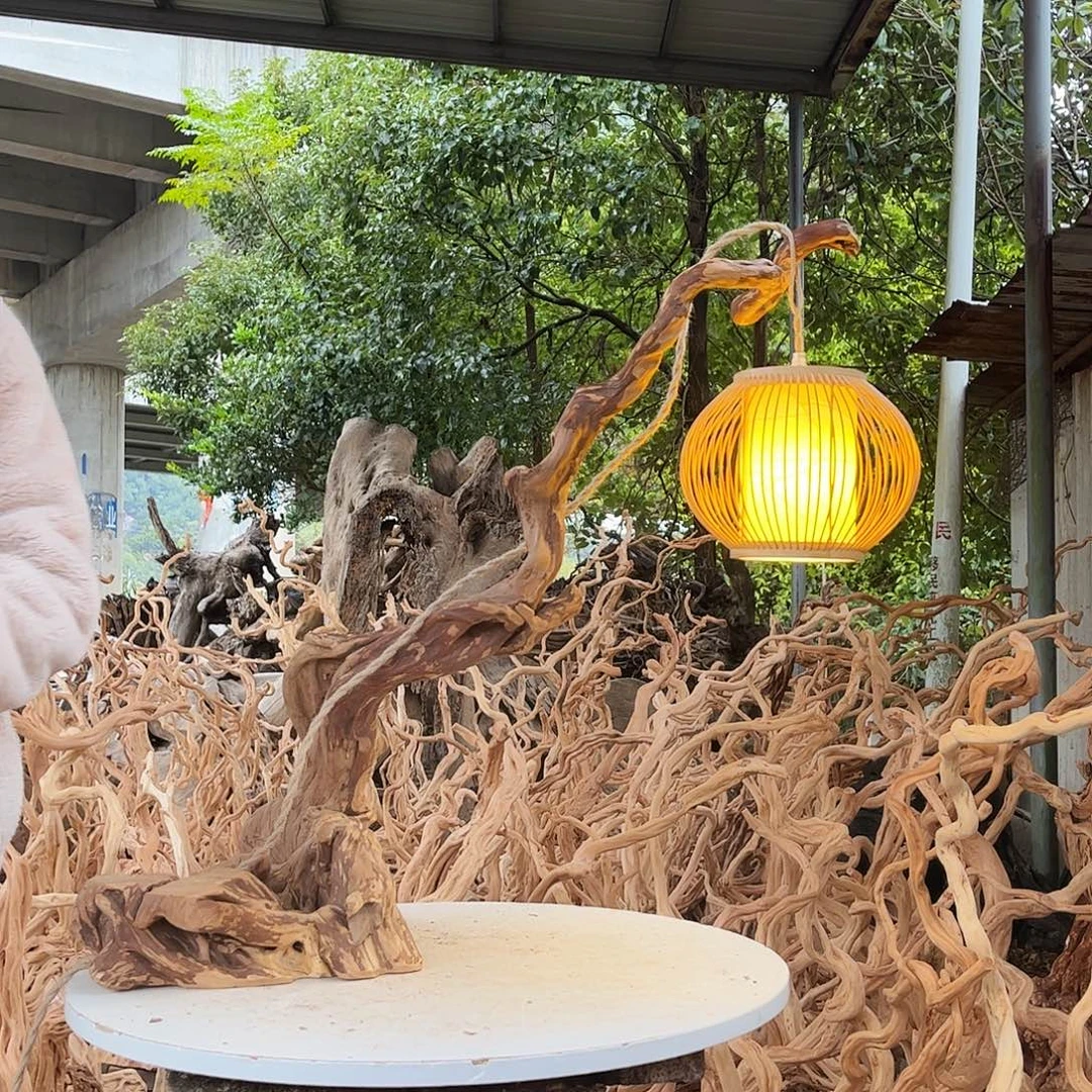 小***）木我是一个人的一杜鹃根