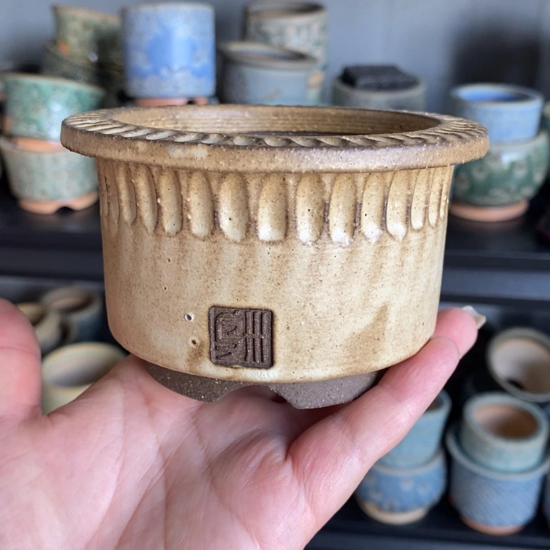 ****黑泥展盆一个啦啦啦