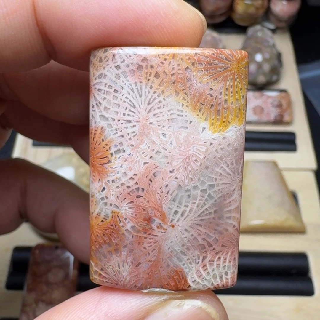 硅化珊瑚（珊瑚玉）未镶嵌纯天然色有机玉石保真色