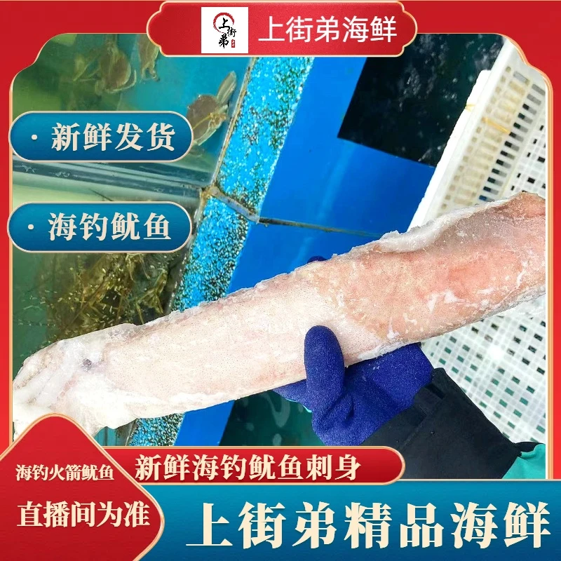 【船冻大鱿鱼】上街弟推荐 火箭鱿鱼 乌贼 枪管 福州发货源头海捕