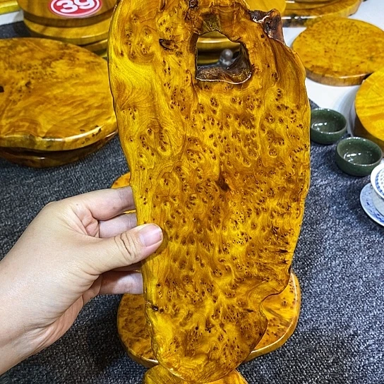 ＃***家香杉干泡干泡干泡