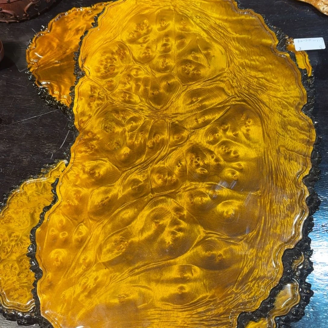 50-31黄金樟干泡盘微瑕