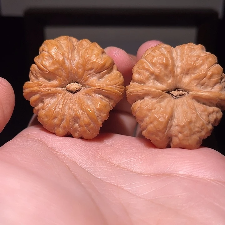 站***你核桃手串/手链蛤蟆头