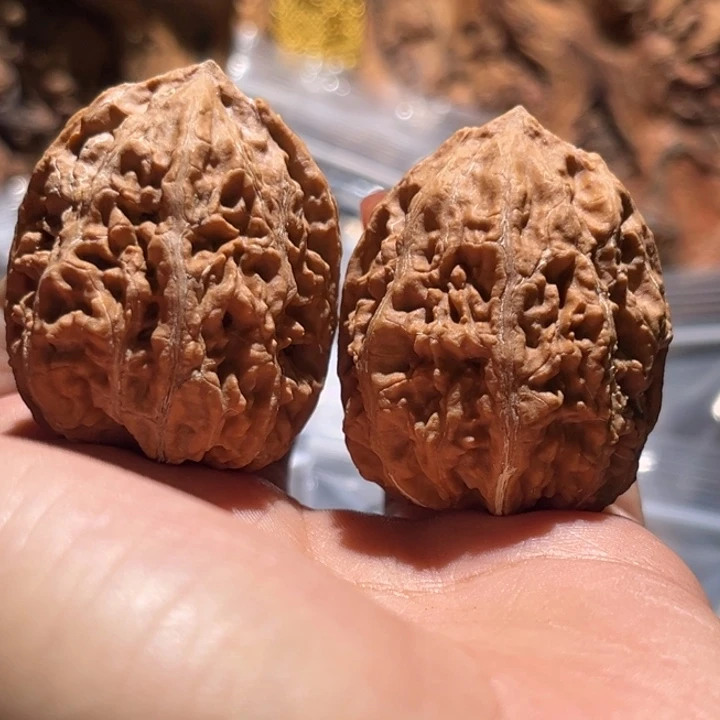 吊坠桃核九哥楸核50