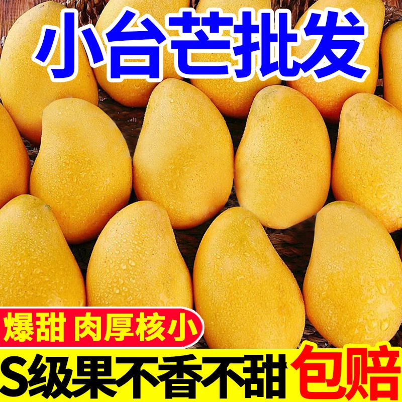 【ZY】正宗小台农芒果应季新鲜热带水果薄皮肉厚整箱批发爆甜树上熟