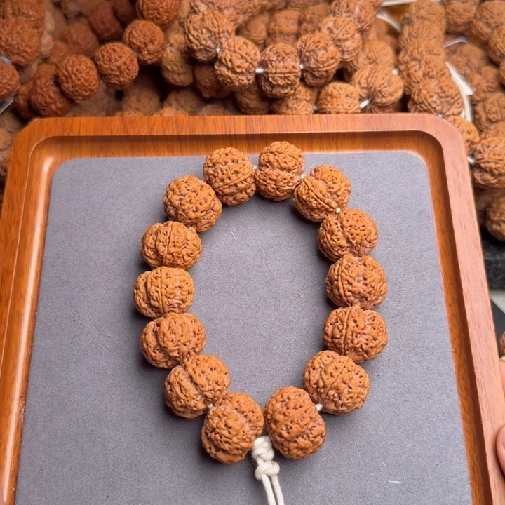 菩提7号尼泊尔大金刚22.5满肉梅花