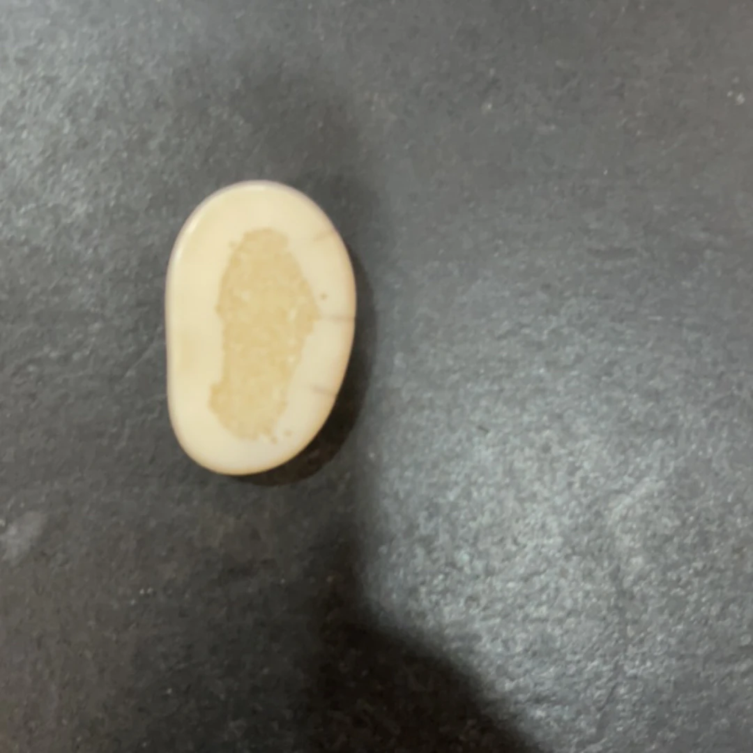 猛犸虬约20.8克饼子配饰TD314