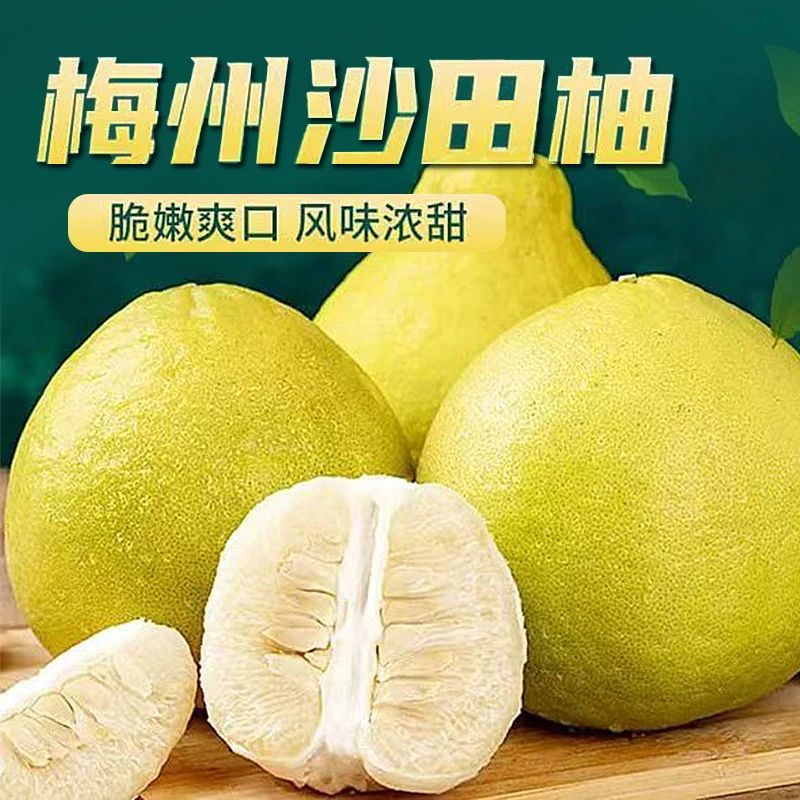 正宗广东梅州沙田柚清甜可口的新鲜水果5斤|10斤|15斤|19斤袋装