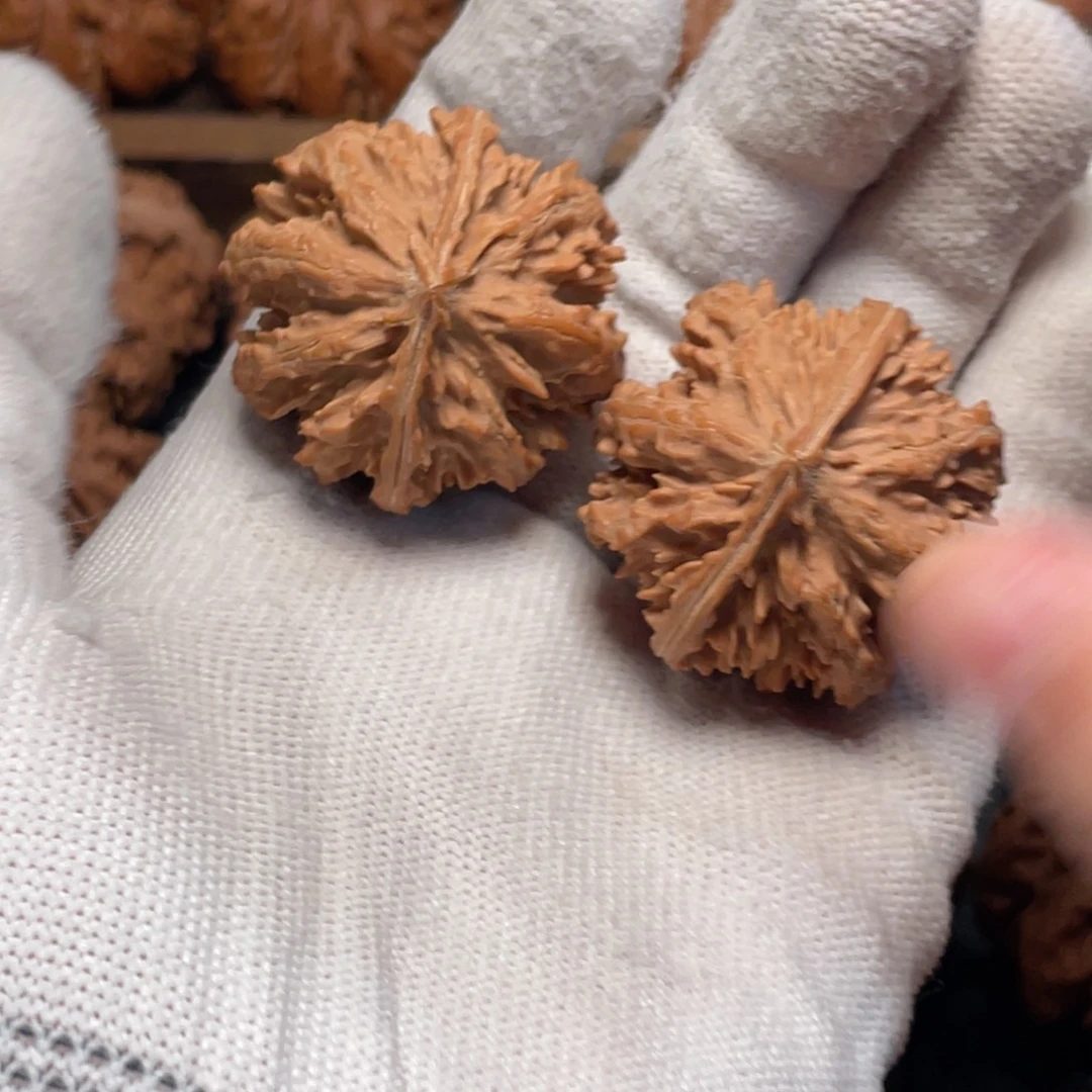 氵***条桃核吊坠8 秦岭灯笼野生小众