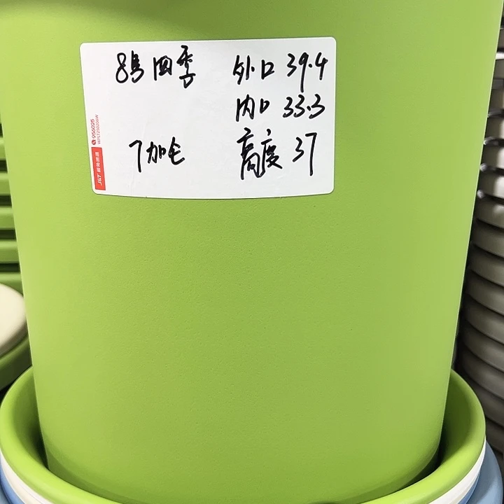特价8四季口39.4高37果绿无托3只