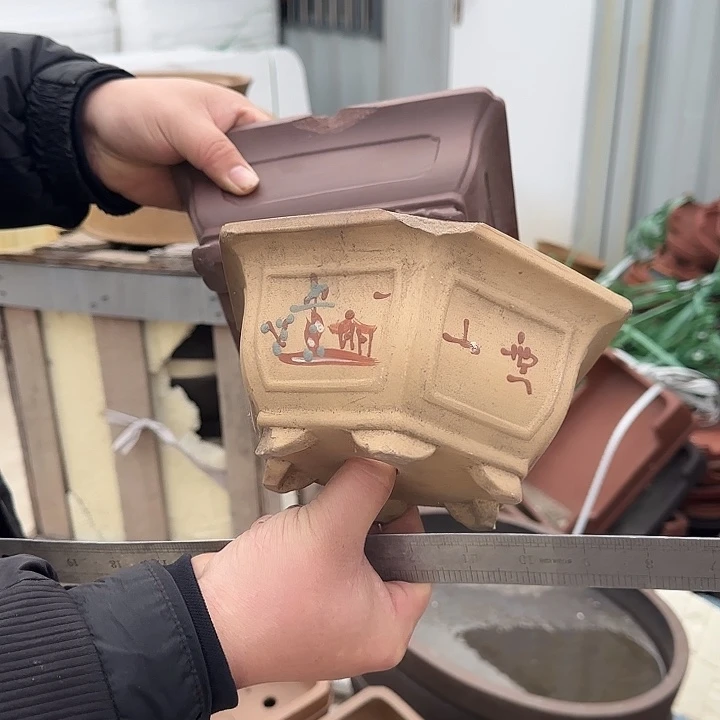 醉***人紫砂花盆这是我的