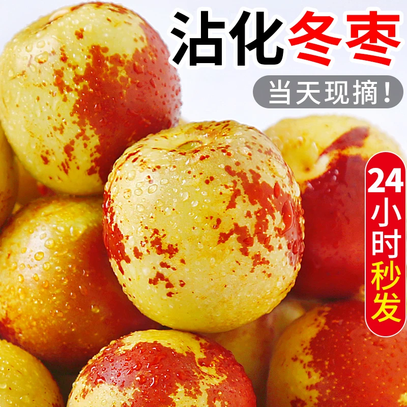 正宗山东沾化冬枣5斤新鲜水果冰糖脆甜包邮现货当季时令大枣子