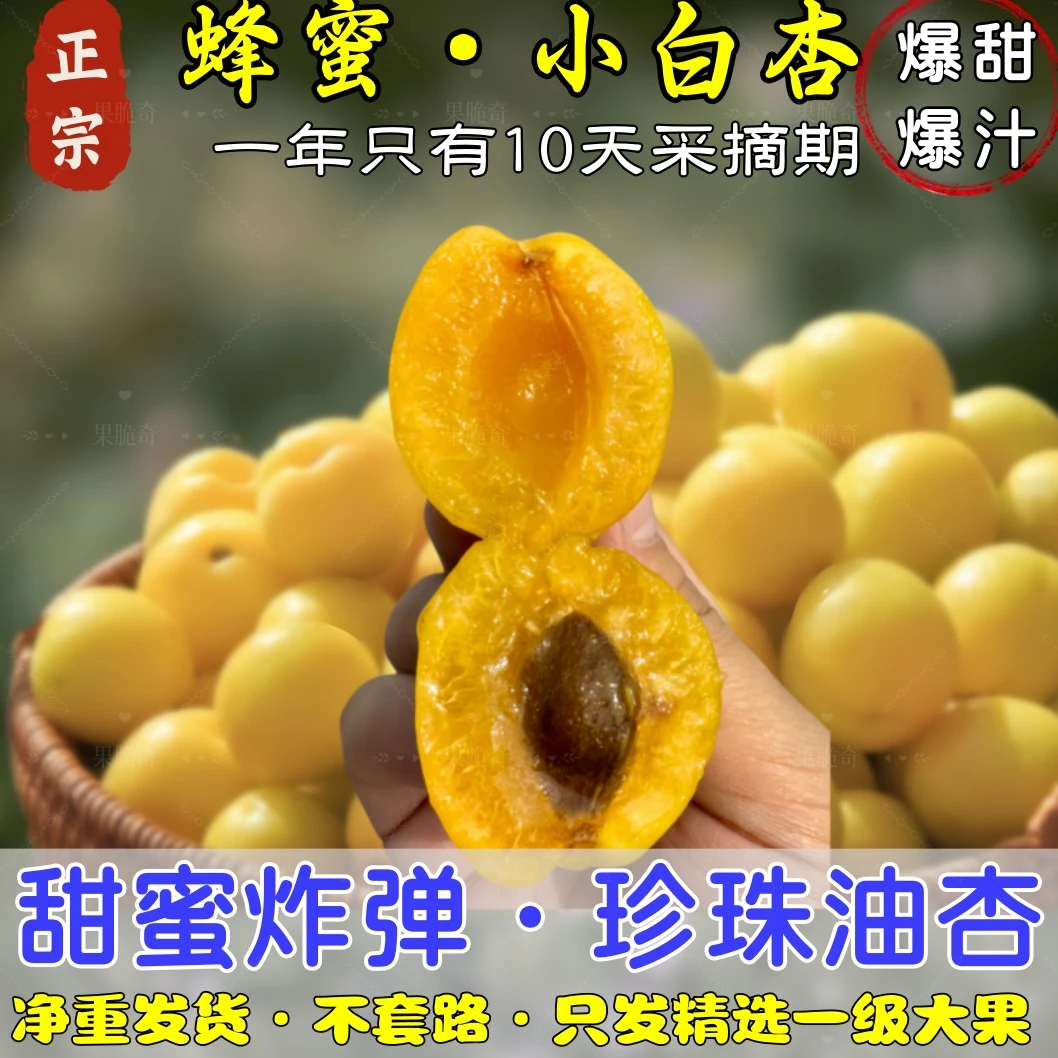 蜂蜜小白杏珍珠油杏正宗山东新鲜水果脆甜杏子纯甜非新疆黄杏现摘