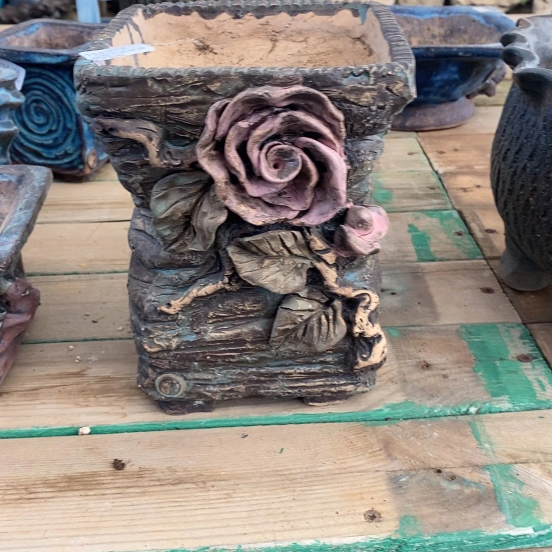 清***荷2号多肉盆口径13号19