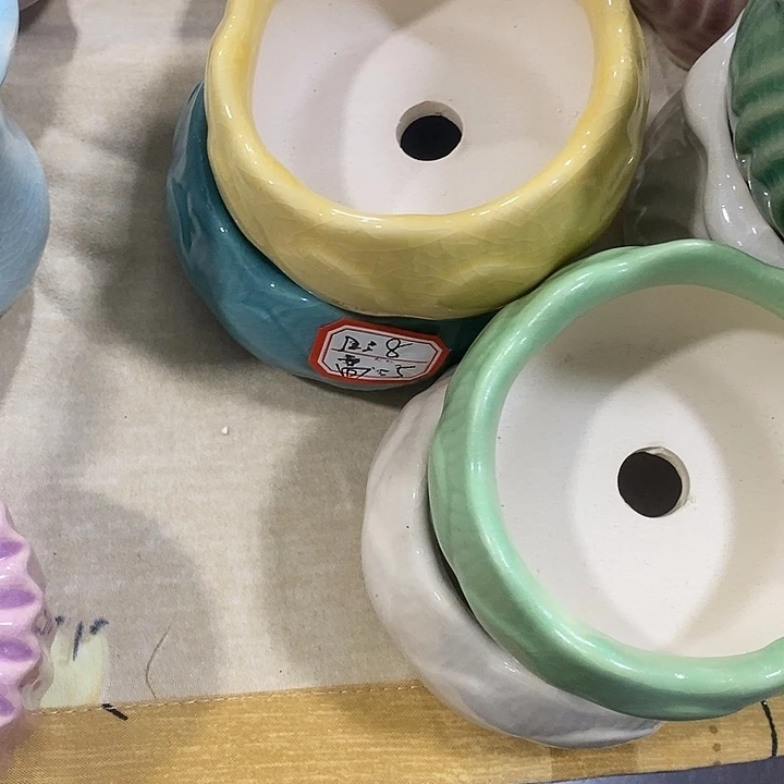 花盆抢购清货马上开始
