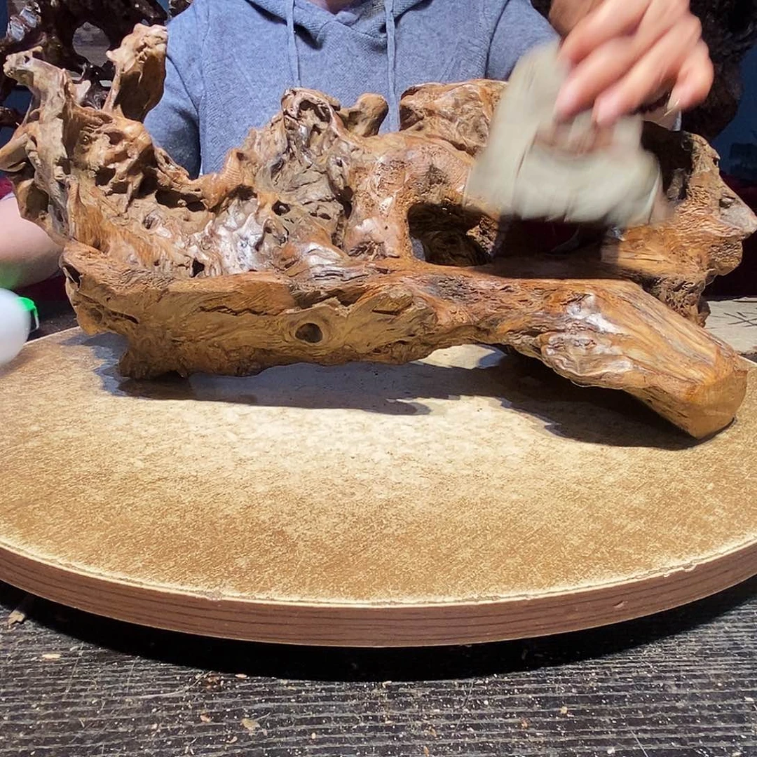 上***宝266。株木随行根艺