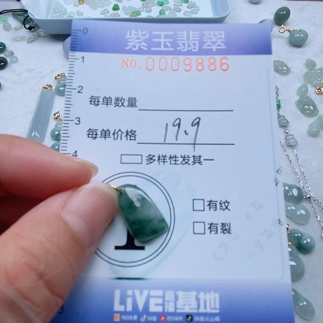 翡翠未镶嵌颈饰飘花随行