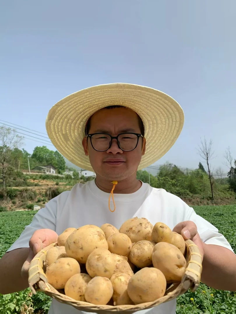 恩施马尔科小土豆