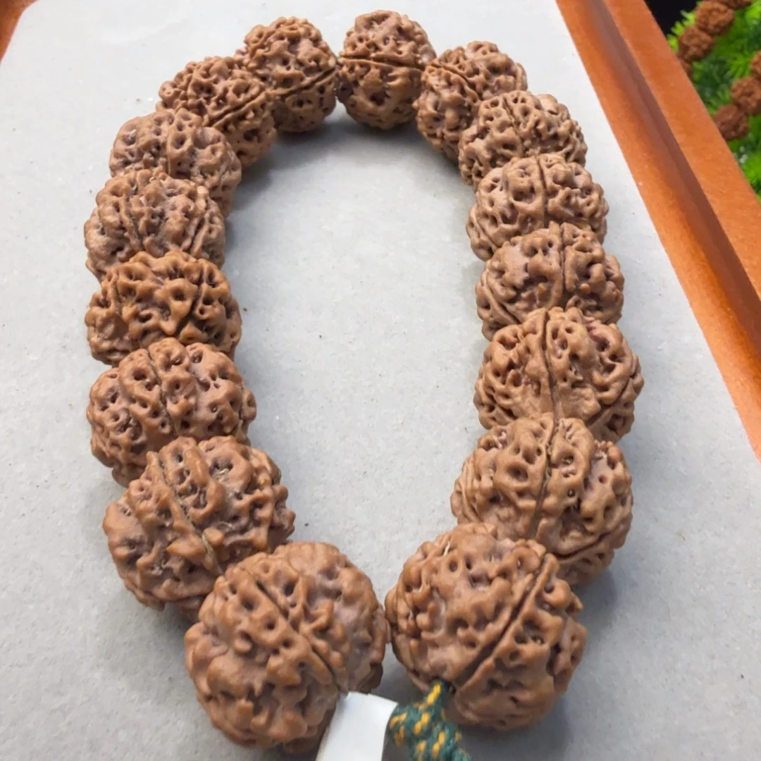 金刚菩提吊坠蜂窝双龙满蜂窝铁籽黄皮