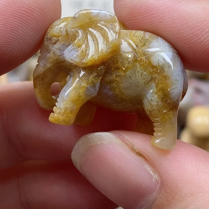 颈饰未镶嵌硅化珊瑚（珊瑚玉）小