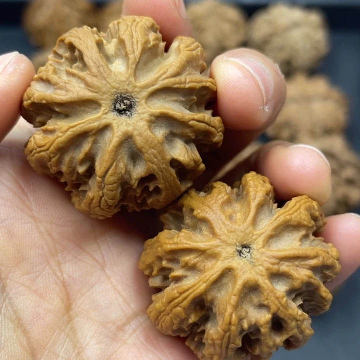 吊坠文玩核桃突突突突突突突