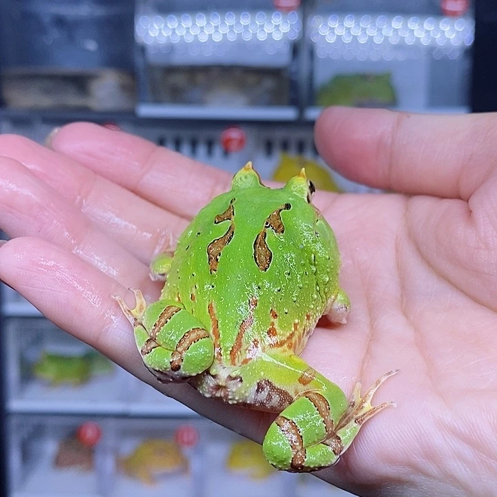 特价秒杀现货特价