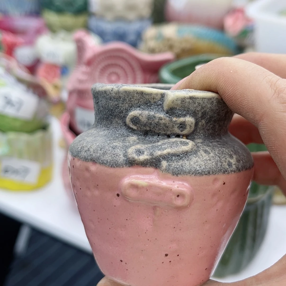 【闪购商品】陶瓷多肉绿植陶瓷花盆