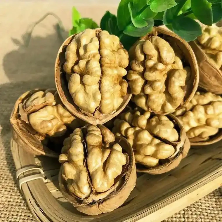 新疆阿克苏185纸皮核桃手剥即开薄皮饱满营养坚果零食1