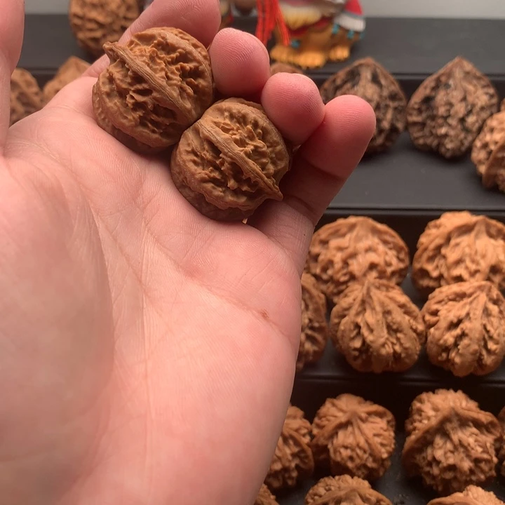 其他核桃龙**海秦岭的一