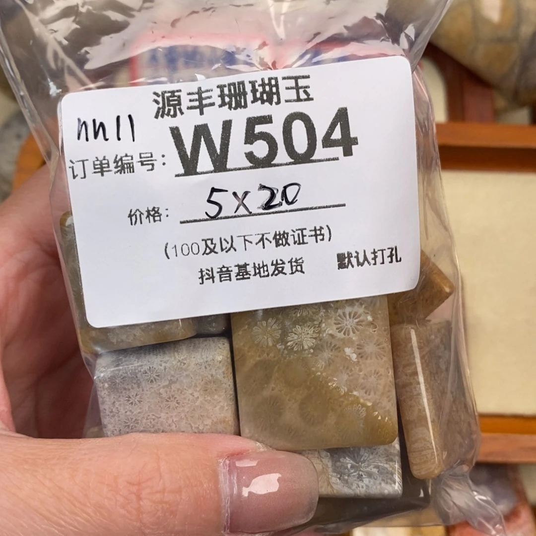 硅化玉颈饰未镶嵌n***1