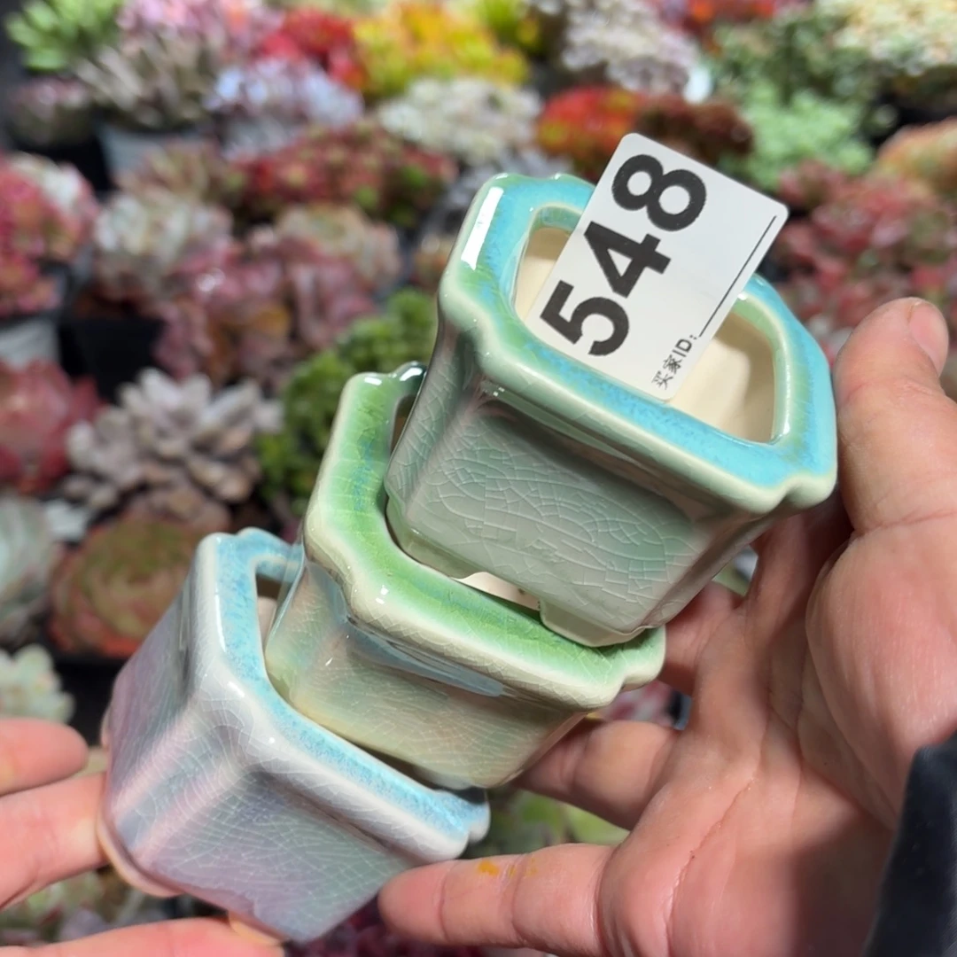 慧***天景德镇多肉花盆548