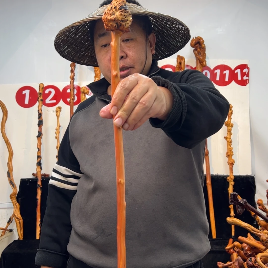 其他黑果木黑果木482