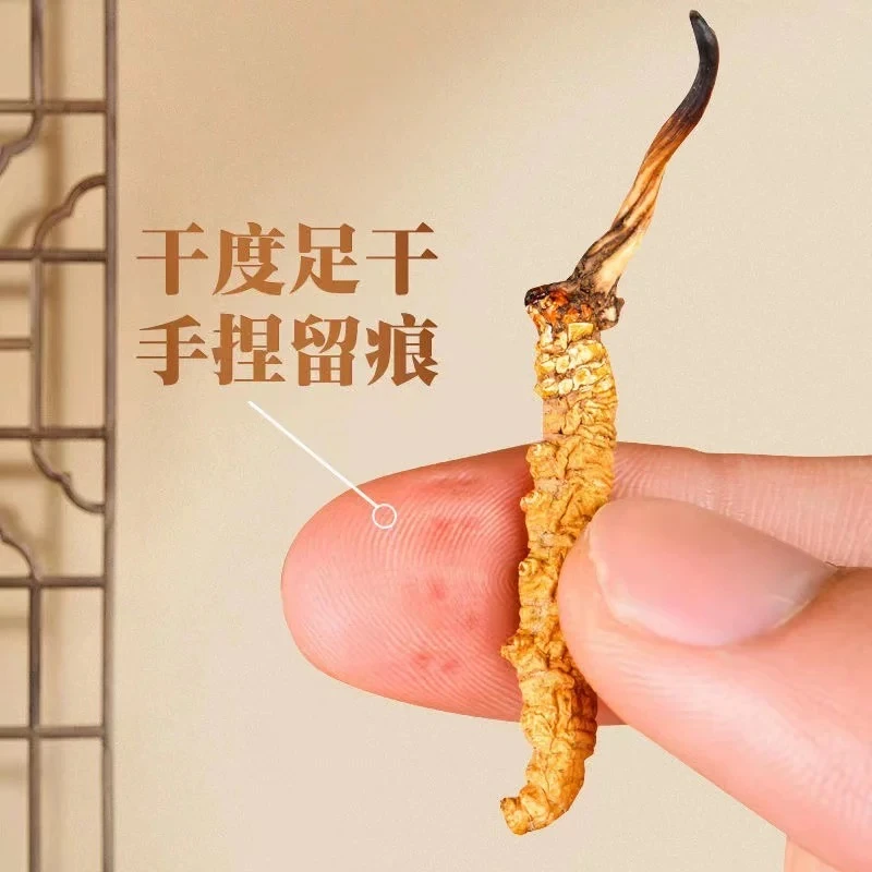 【AA改价专用】干草高海拔藏区正宗虫草雪山滋补高性价比自用佳品