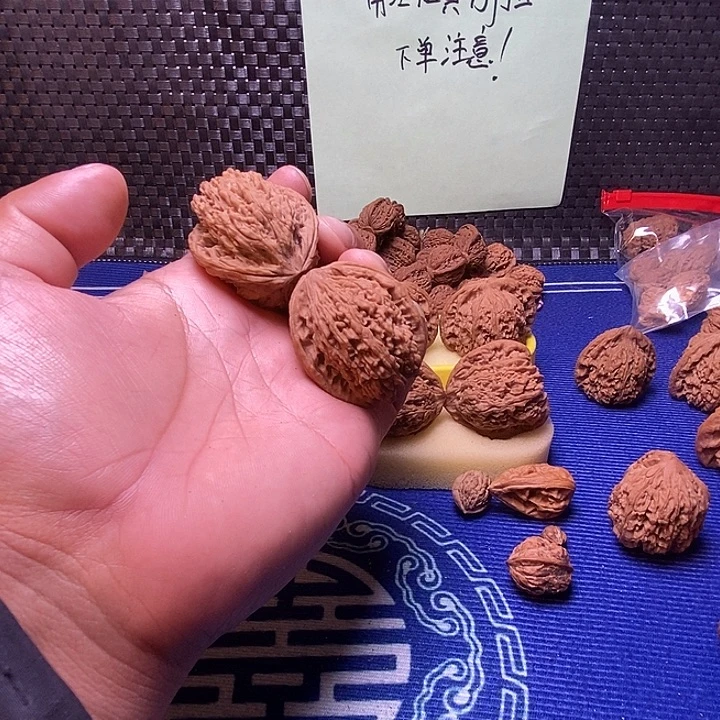 奔****南疆石飞天蛇37尺