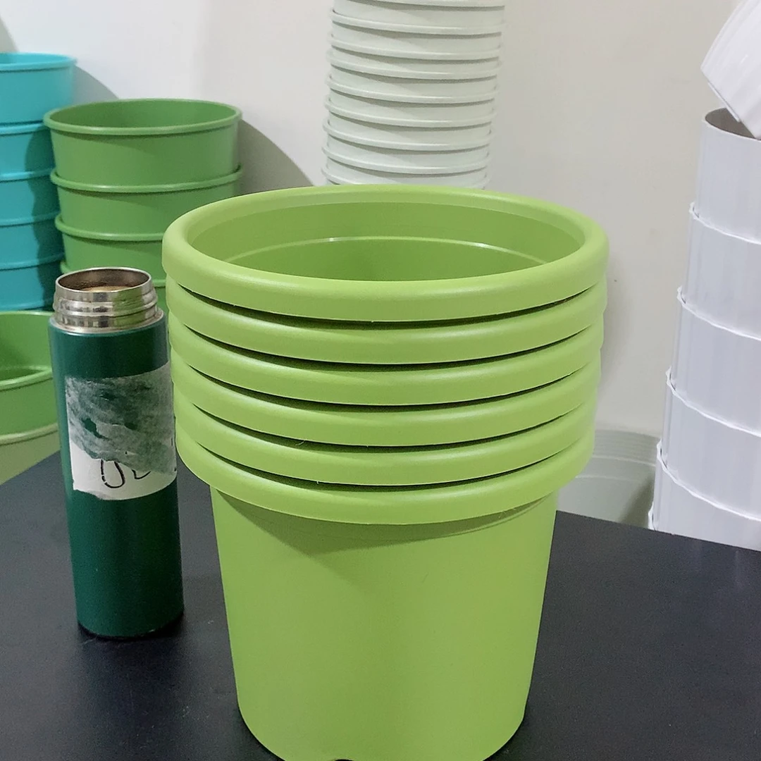 树脂四季口21果绿6个无托